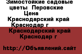 Зимостойкие садовые цветы “Перовские“ › Цена ­ 200 - Краснодарский край, Краснодар г.  »    . Краснодарский край,Краснодар г.